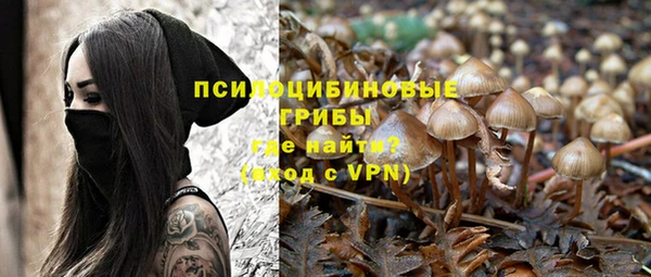 а пвп мука Алзамай
