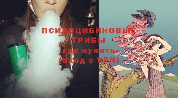 спайс Алексин