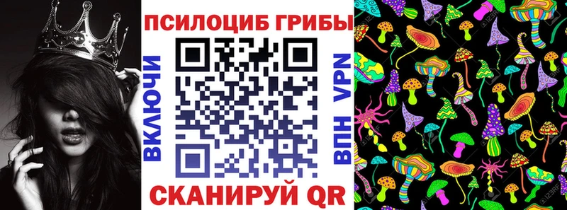 Псилоцибиновые грибы GOLDEN TEACHER  Западная Двина 
